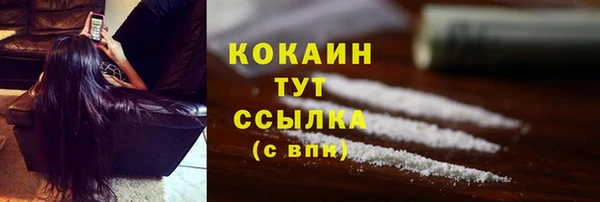 дмт Абаза