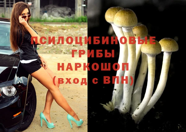 ALPHA-PVP Осинники