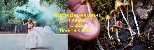 метадон Осташков
