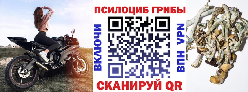Псилоцибиновые грибы ЛСД  мега вход  Советский 